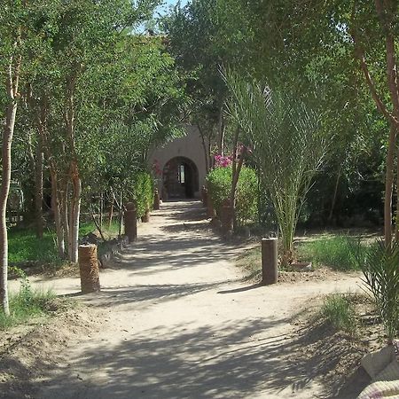 Nour El Balad Hotel Luxor Bagian luar foto