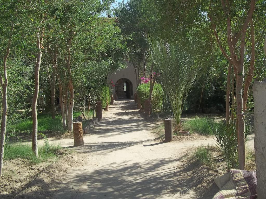 Nour El Balad Hotel Luxor Bagian luar foto